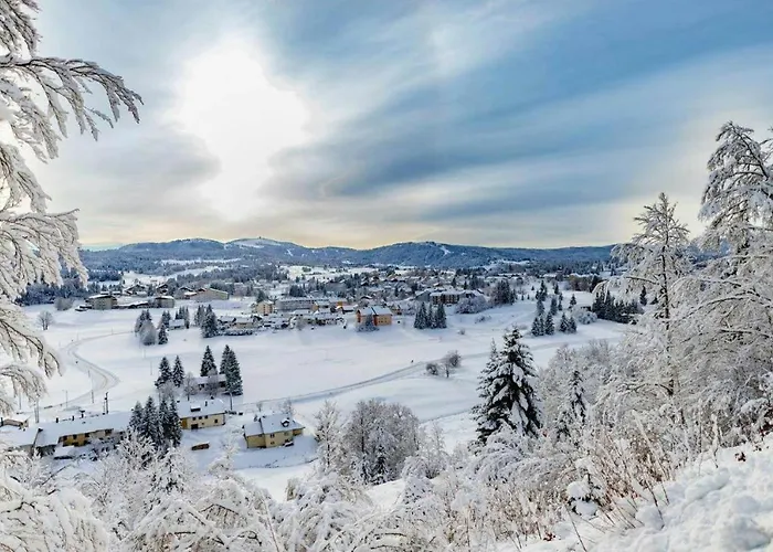 Babaute 7, Studio Typique Au Pied Des Pistes
