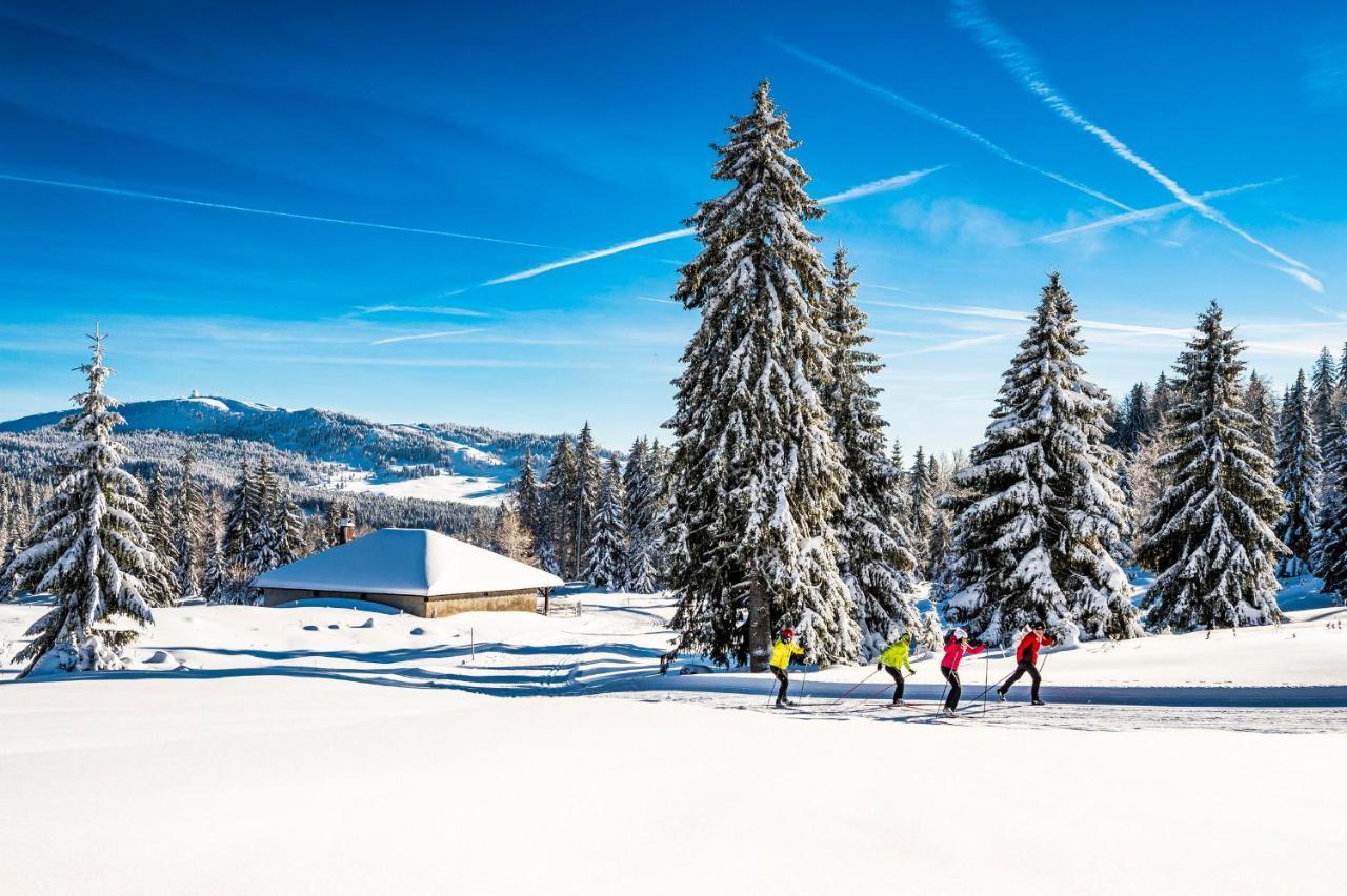 Babaute 7, Typique Au Pied Des Pistes *