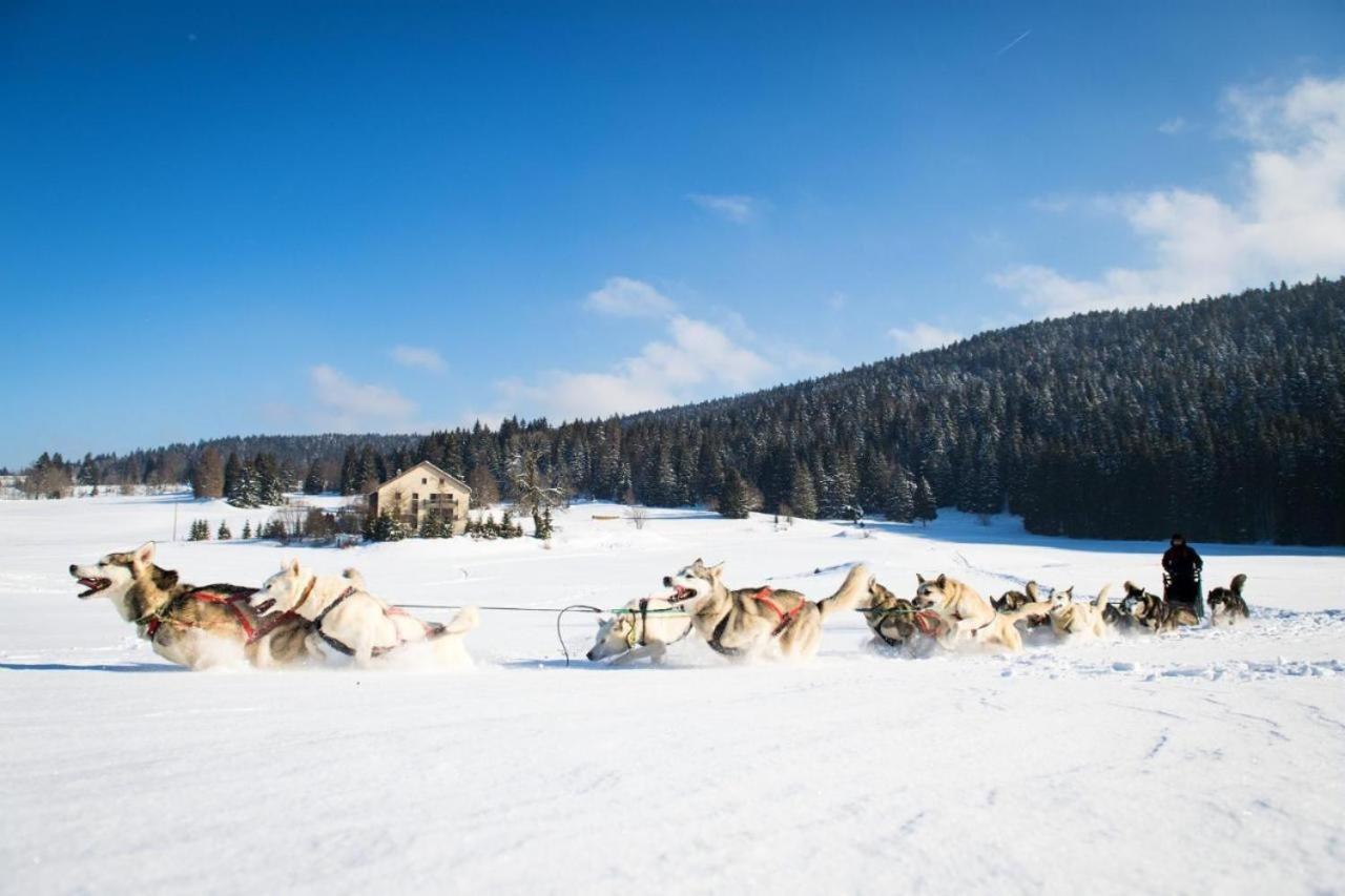 Babaute 7, Typique Au Pied Des Pistes Appartamento